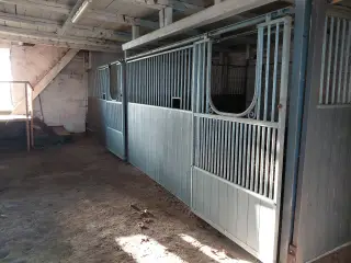 2 hæsteboxe