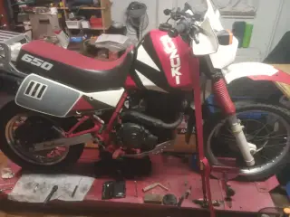 DR 650 R