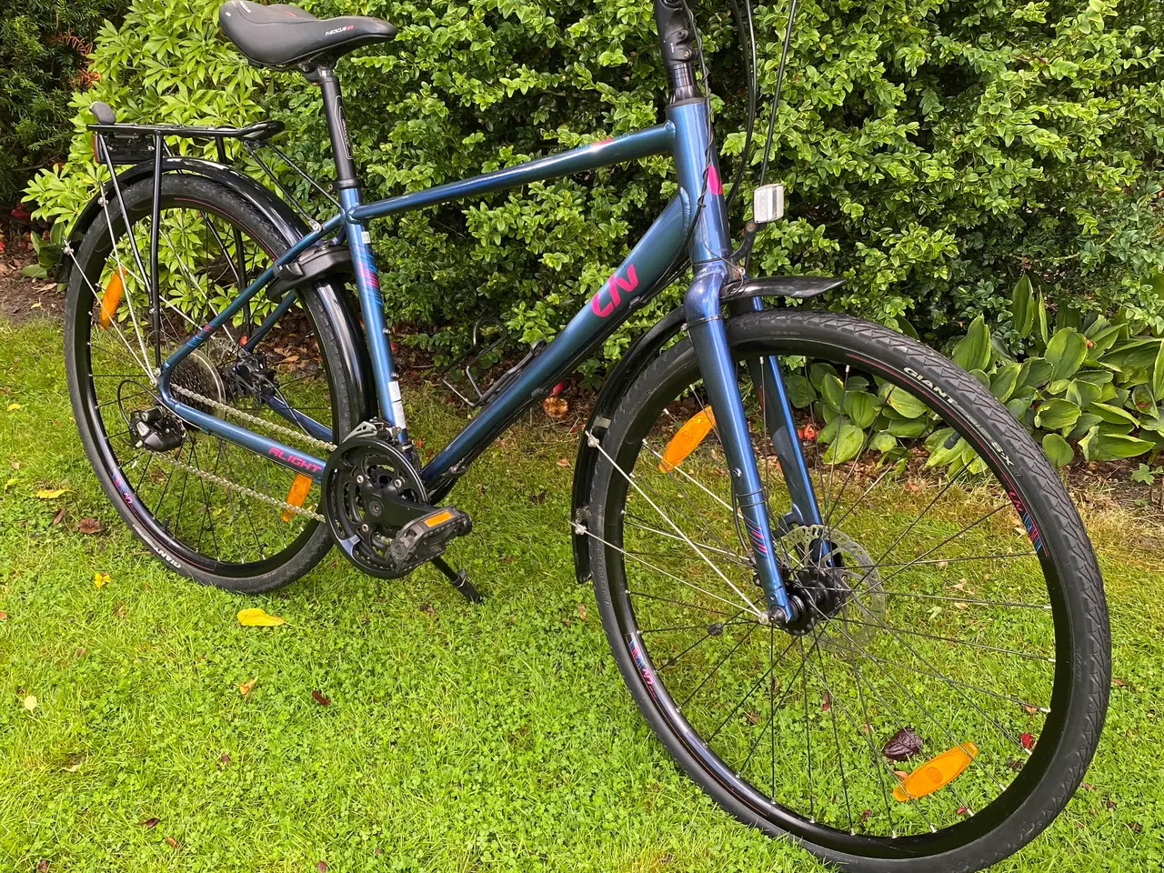 Billede 2 - Giant Damecykel