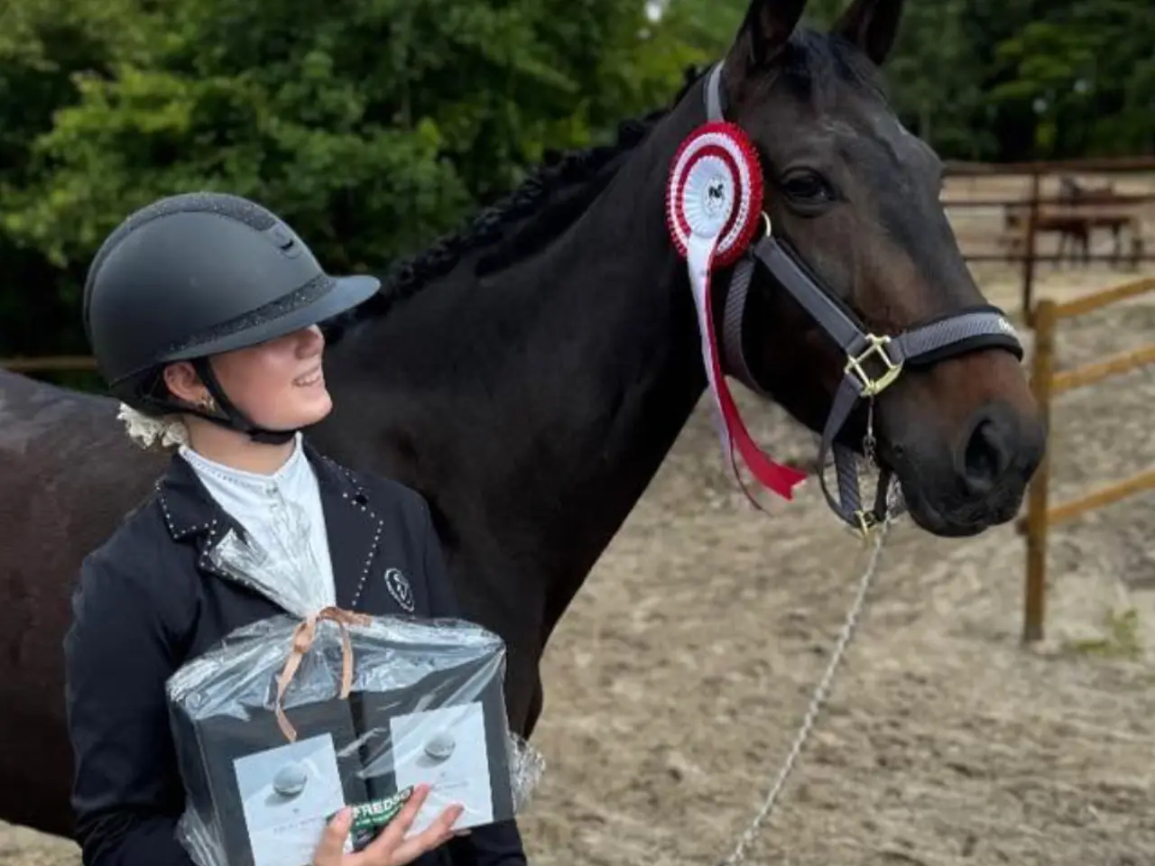 Billede 1 - Avls hoppe efter BLUE HORS ST. SCHUFRO