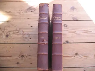 Casanovas erindringer i 2 bind