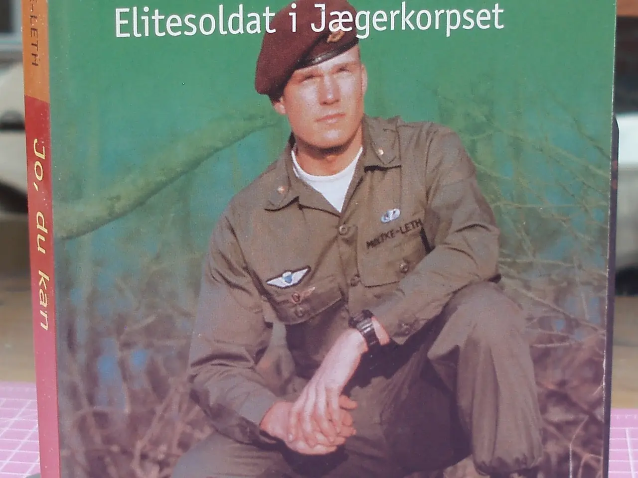 Billede 1 - Jo, du kan af Nicolai Moltke-Leth