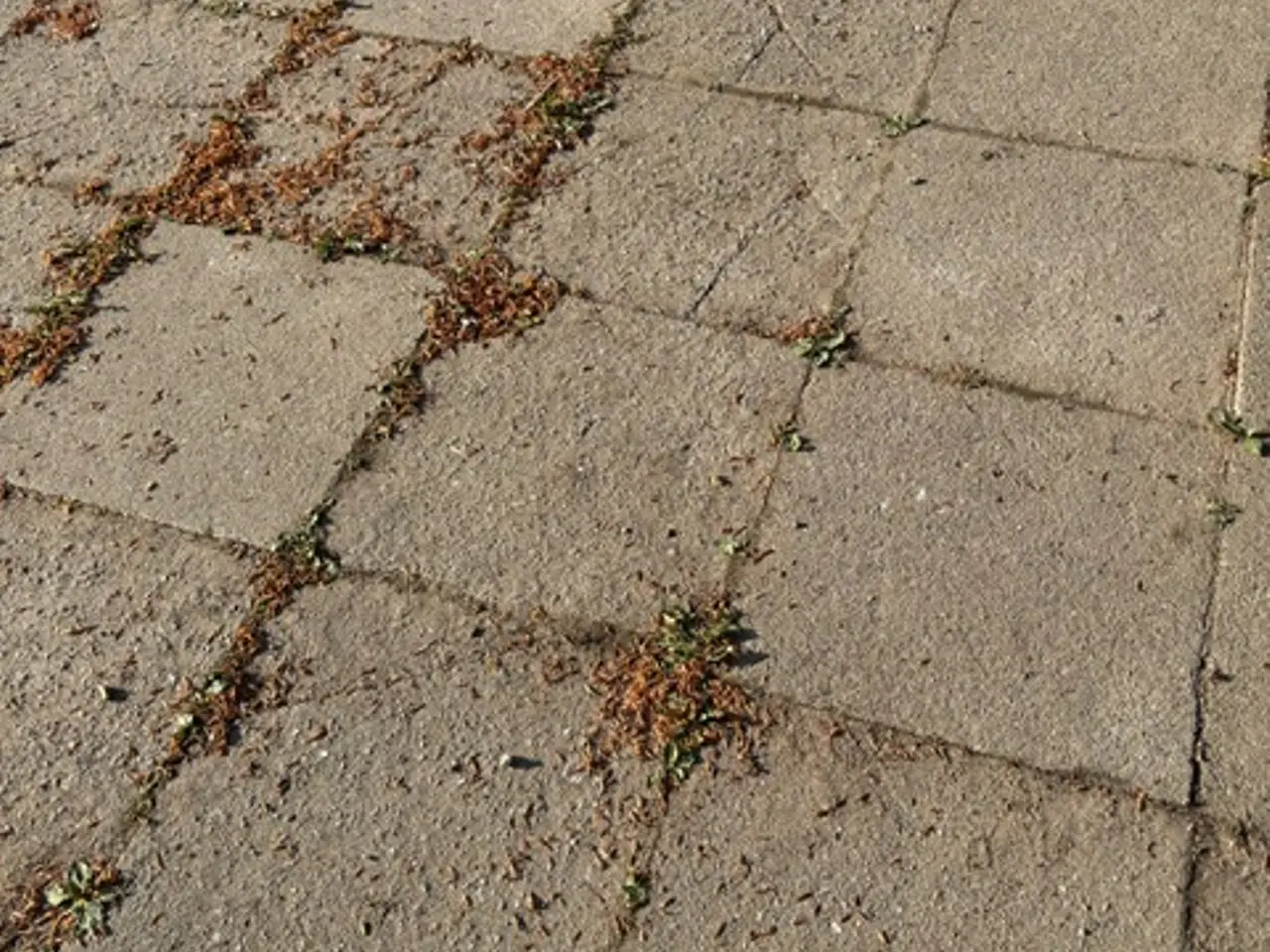 Billede 3 - Ca 100 m2 gratis havefliser 50x50x5