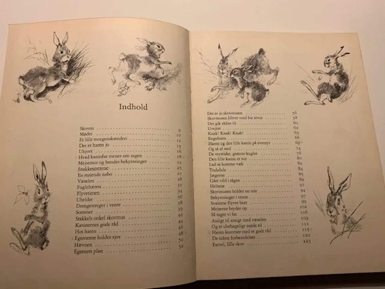 Billede 3 - Haren og den lille kanin på eventyr - illustreret