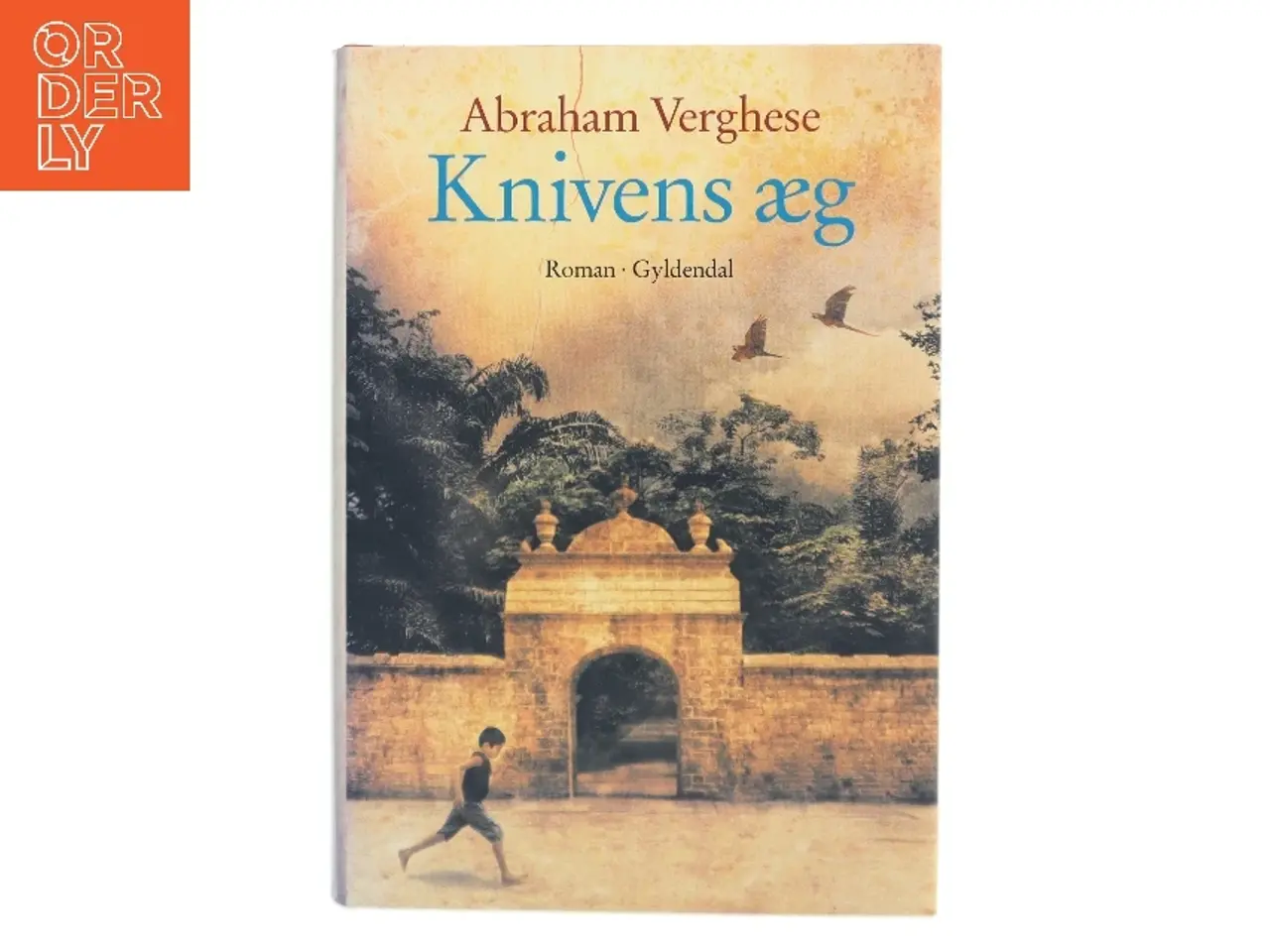 Billede 1 - Knivens æg : roman af Abraham Verghese (Bog)