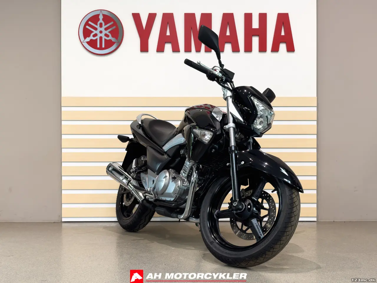 Billede 3 - Suzuki GW 250 Inazuma street