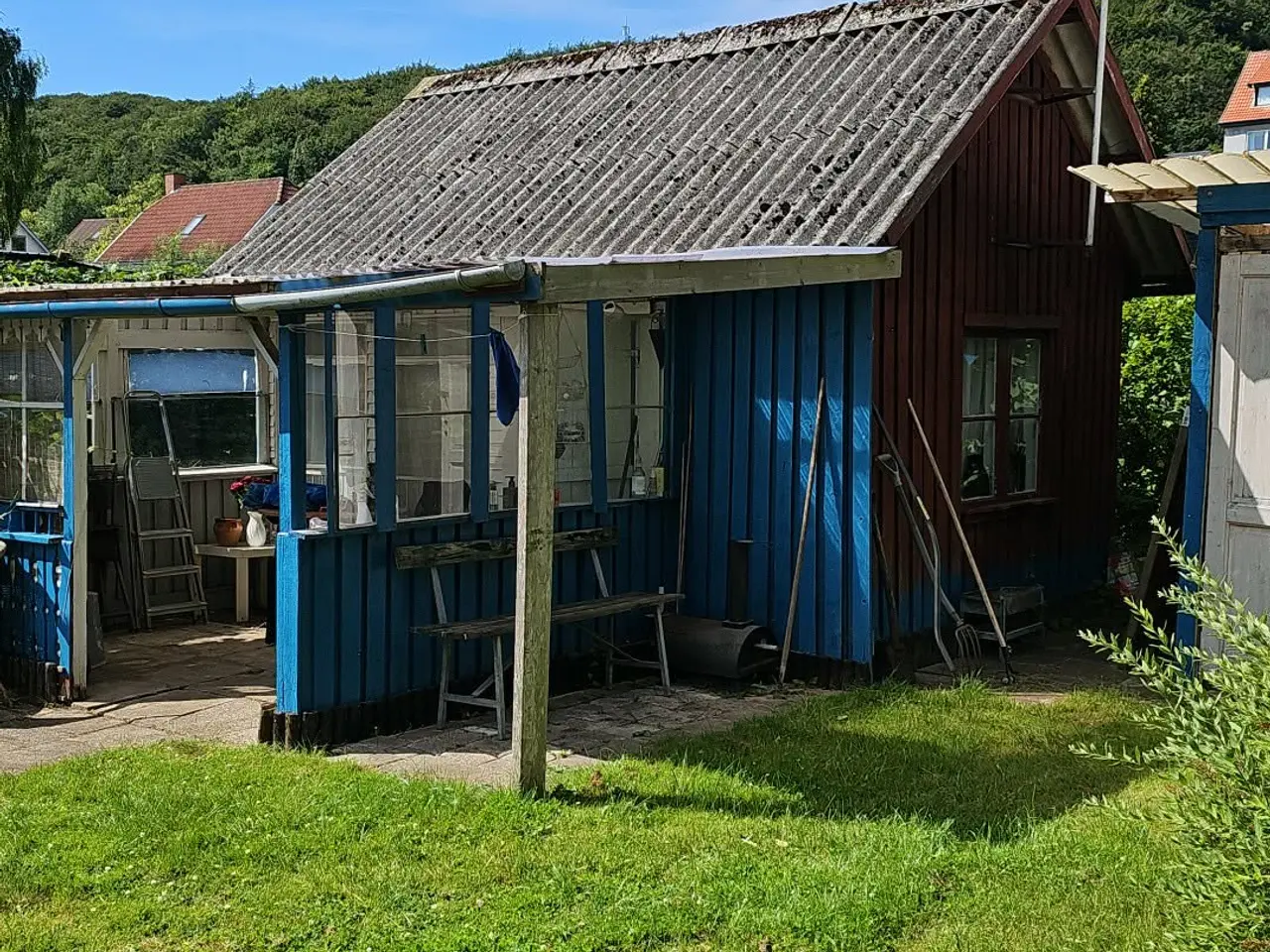 Billede 5 - Have i Vejle 