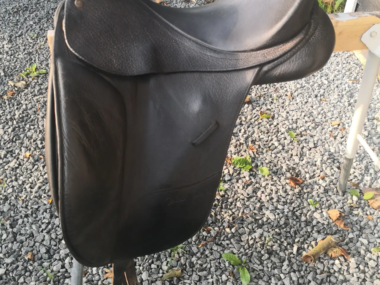 Billede 1 - Isabell werth