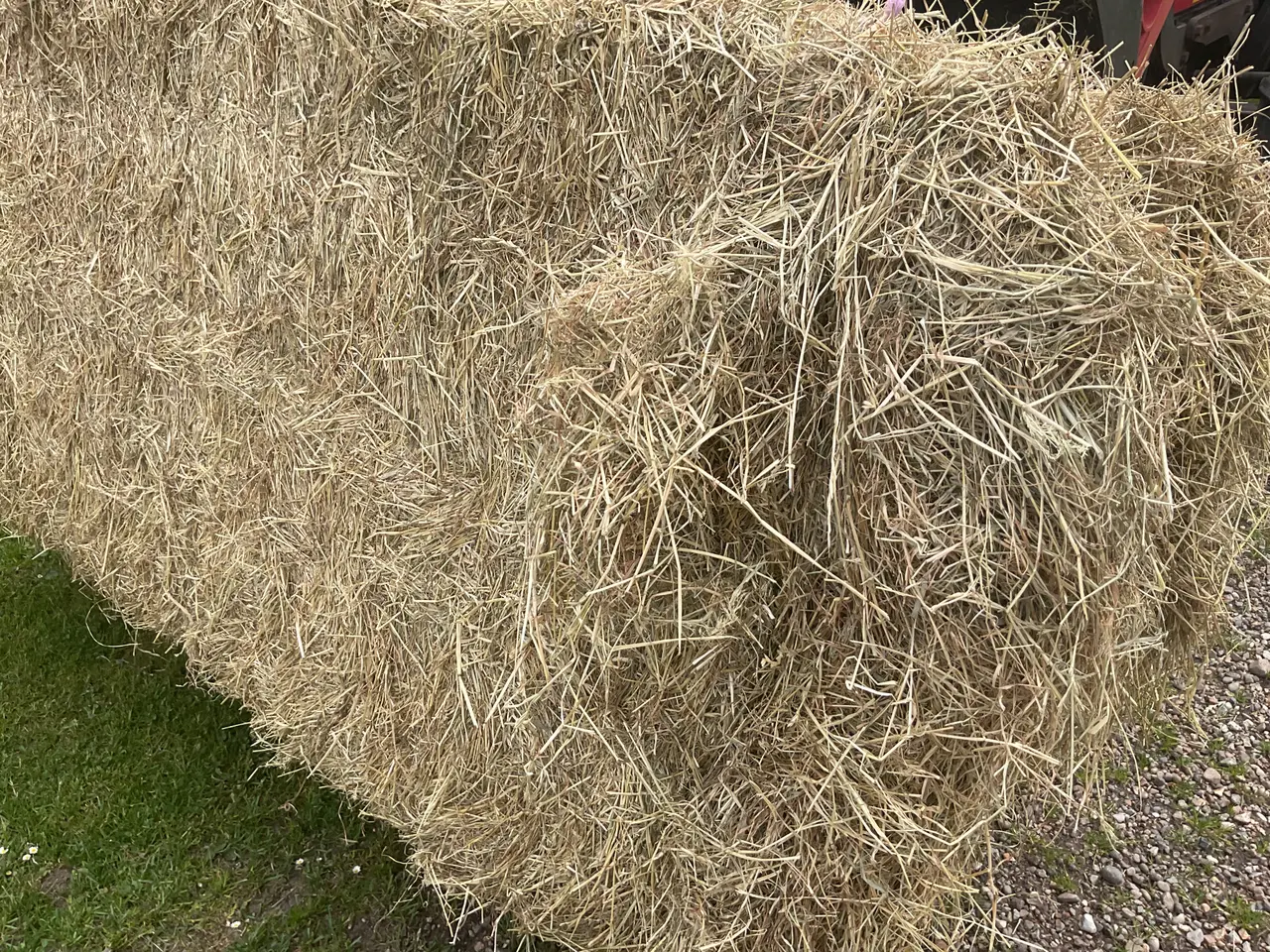 Billede 1 - Hø
