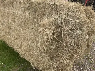 Hø