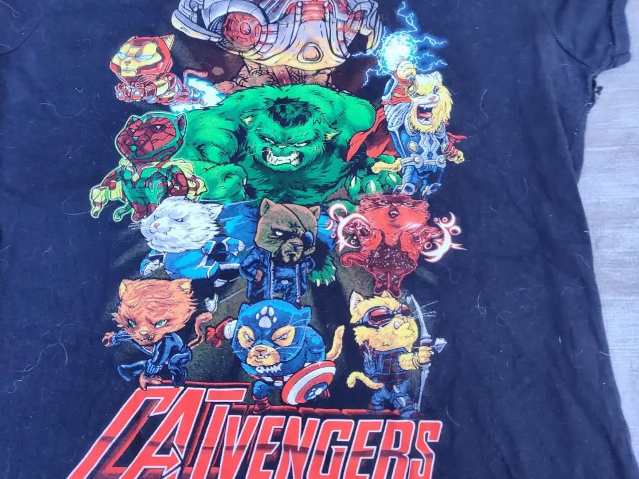 Billede 2 - Catvengers
