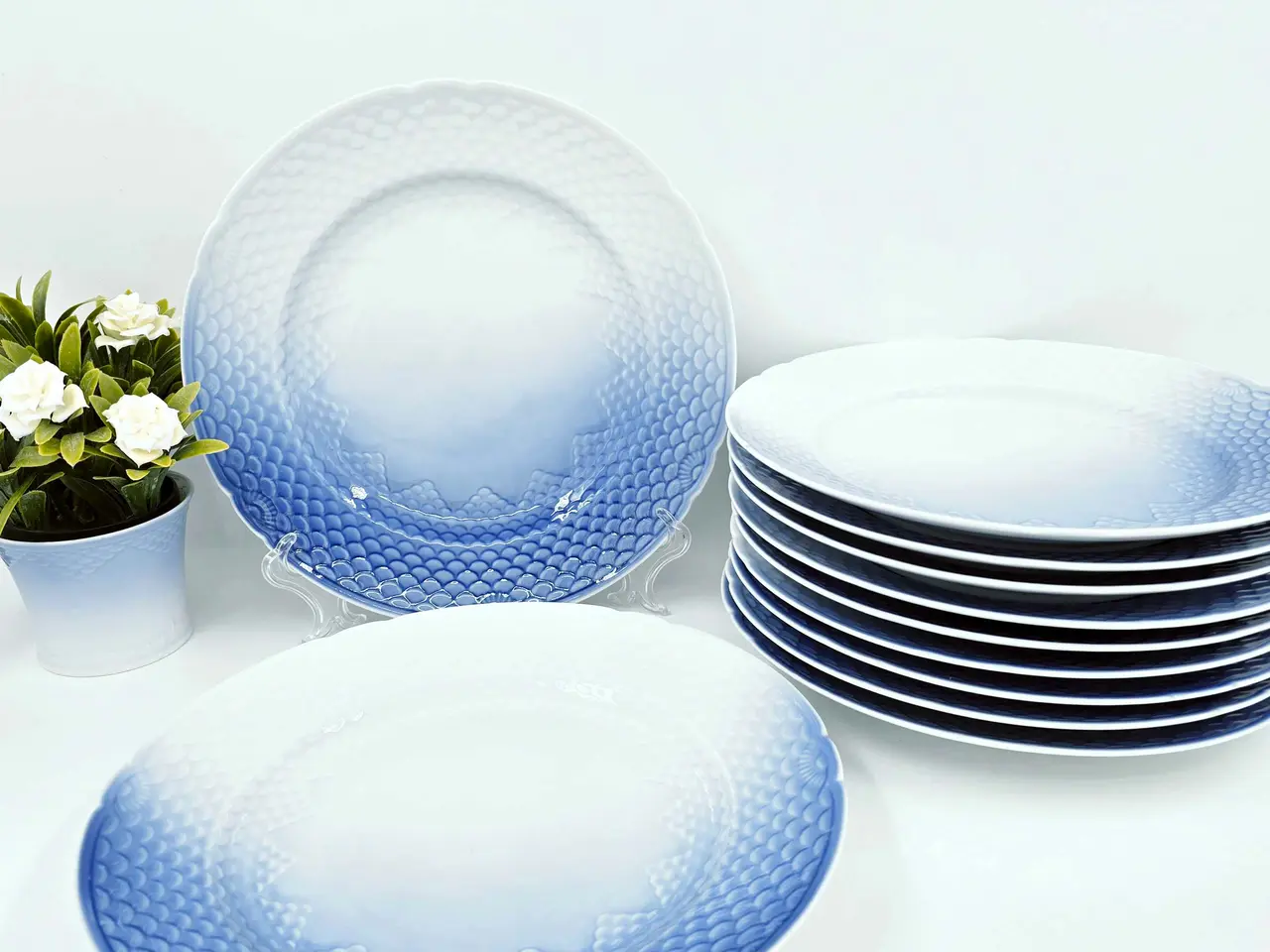 Billede 1 - Blå Tone - Musling Middagstallerken Porcelæn