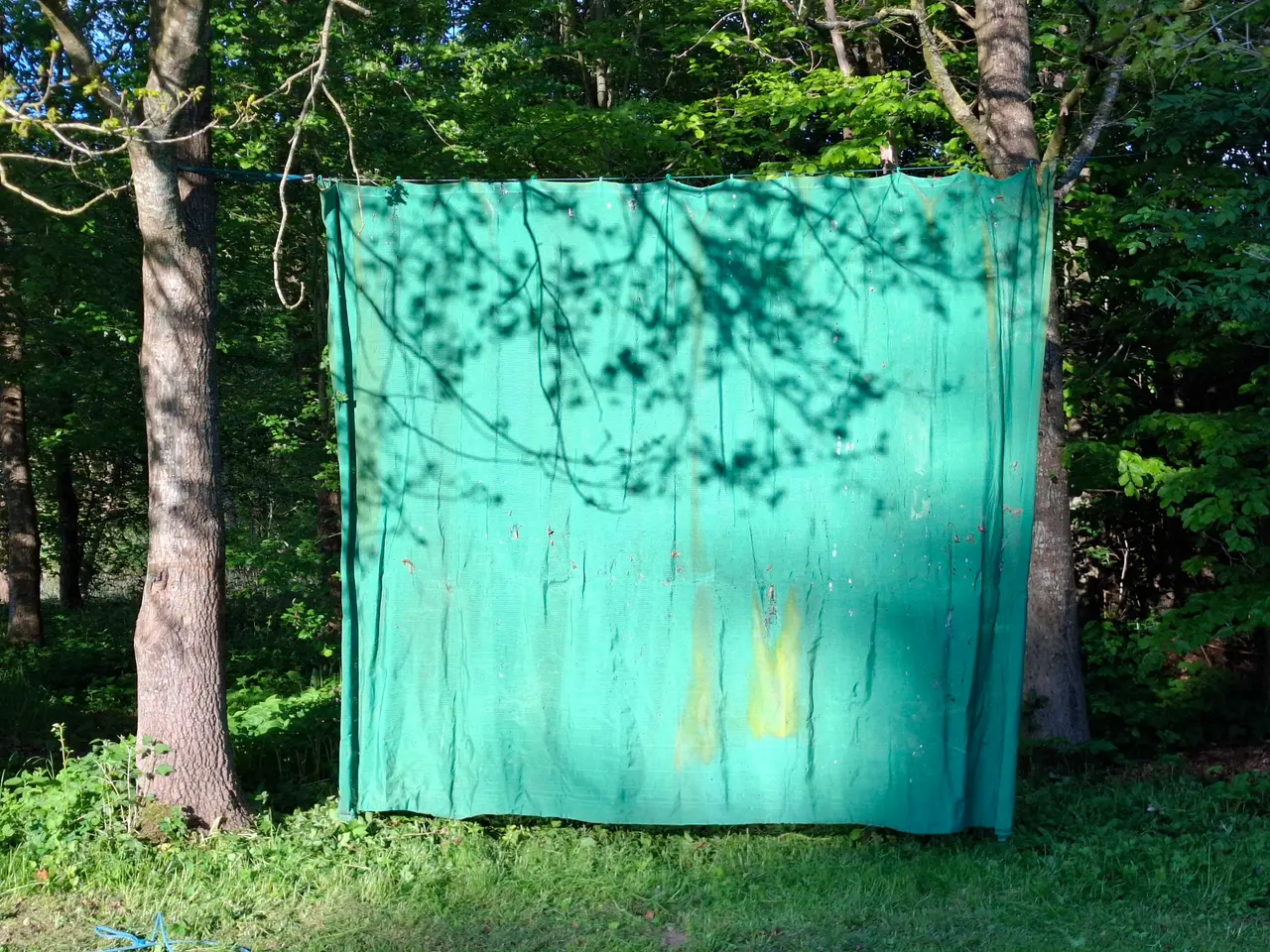 Billede 10 - Recurve buer til hele familien