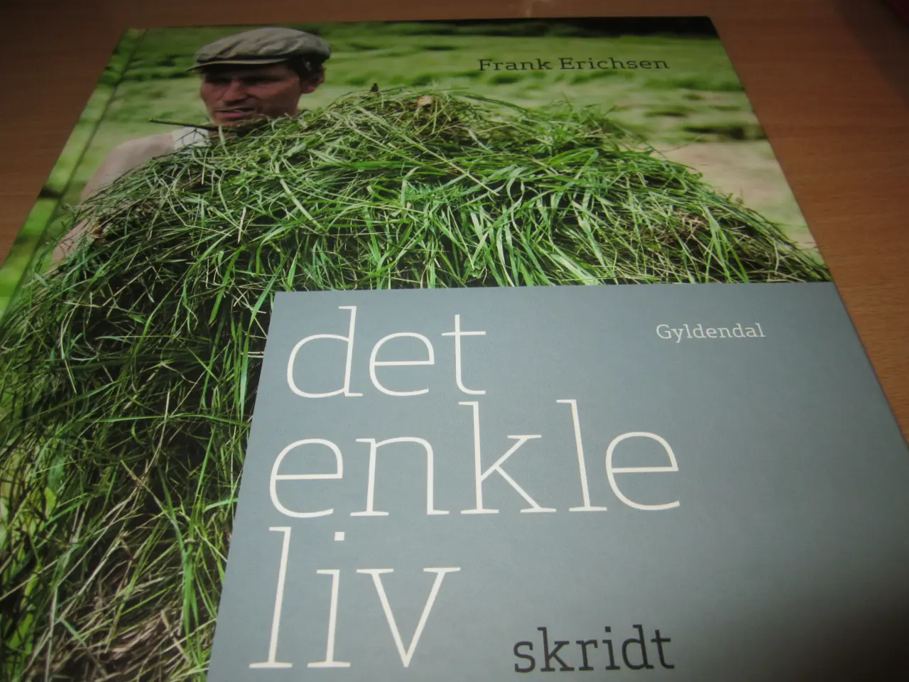 Billede 1 - BYD. Frank Erichsen. DET ENKLE LIV.