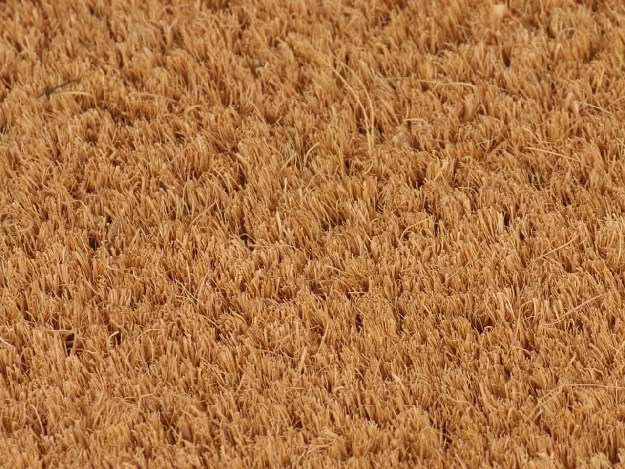 Billede 3 - Dørmåtte i kokosfibre 100 x 200 cm - naturfarvet