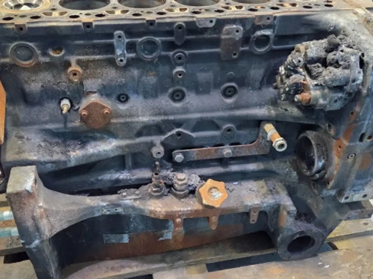 Billede 9 - Iveco F4DGE617D*V007 Motor 51485058