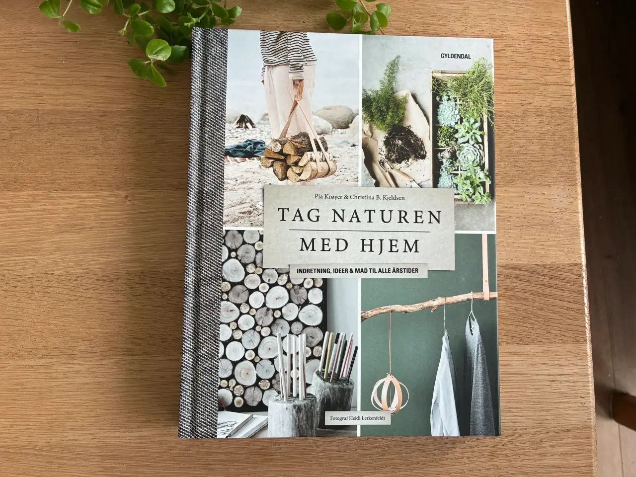 Billede 1 - Tag Naturen Med Hjem  - Pia Krøyer & Christina K.