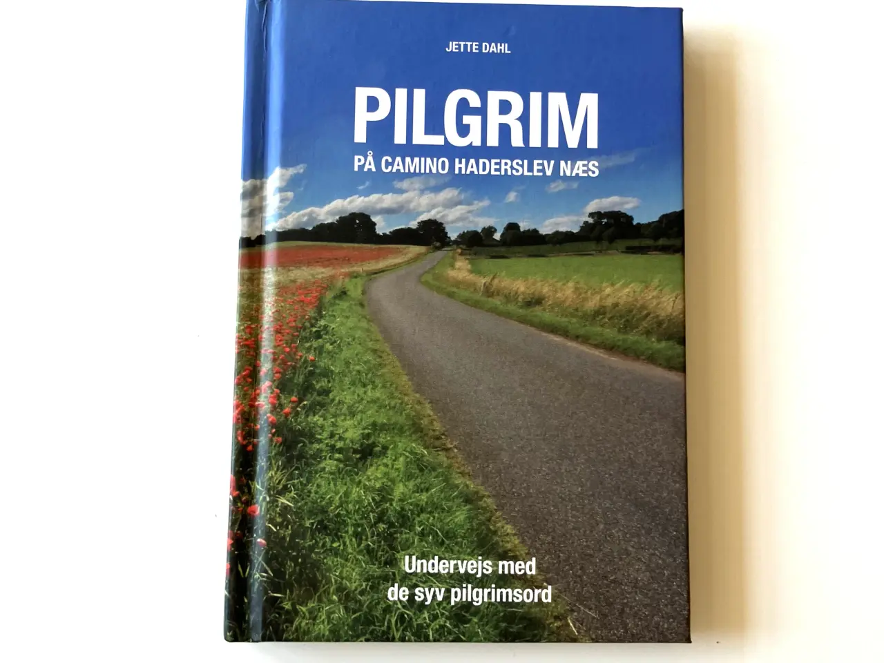 Billede 1 - Pilgrim på Camino Haderslev Næs - undervejs med de