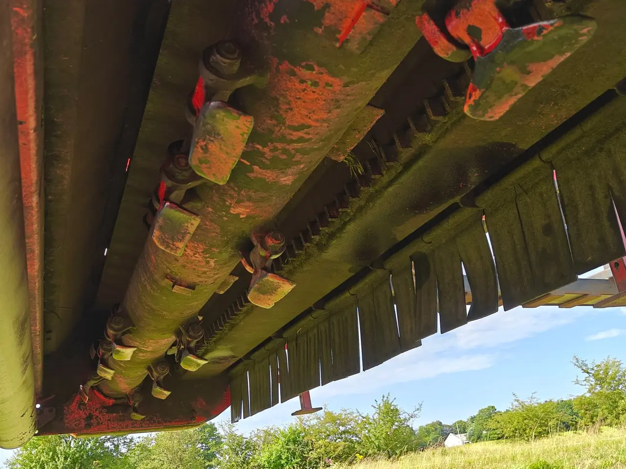 Billede 7 - Maschio Tigre 250
