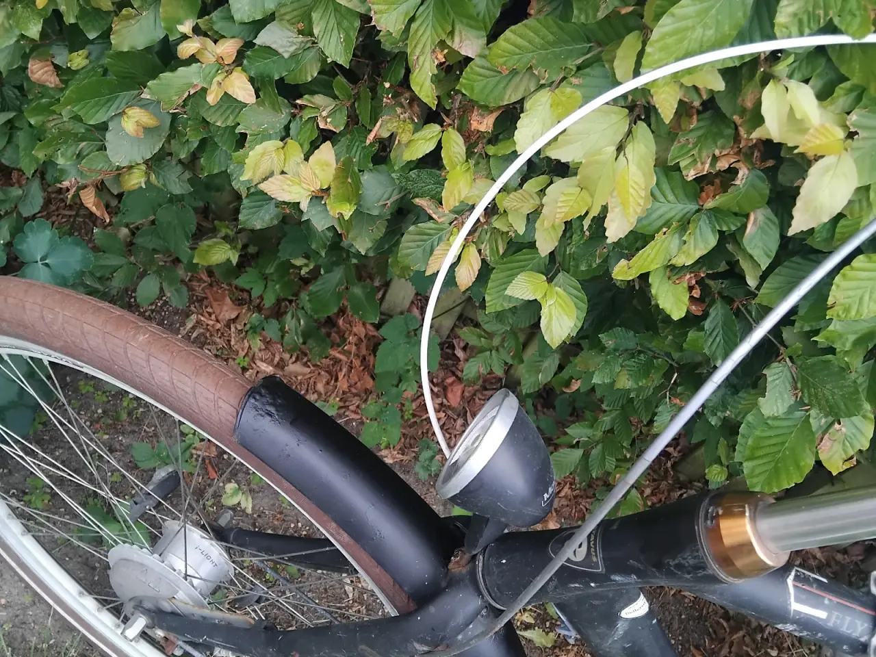 Billede 7 - Batavus