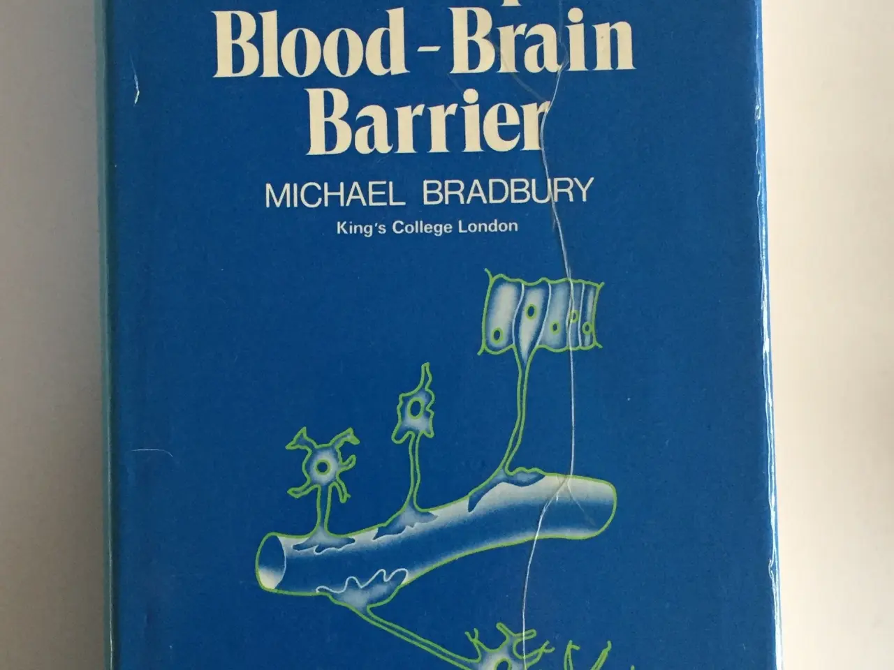 Billede 1 - The Concept of a Blood-Brain Barrier