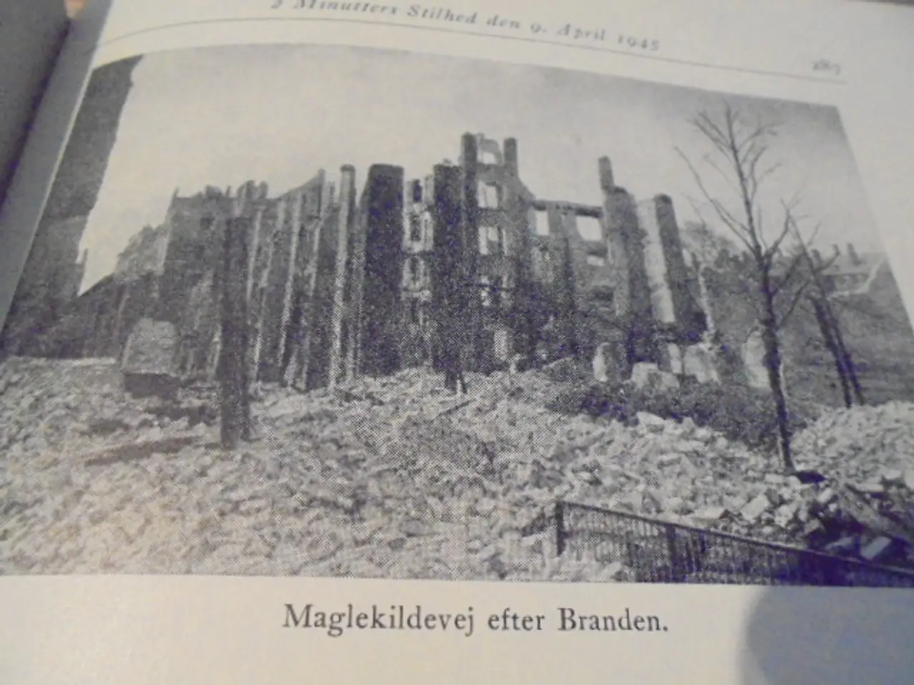 Billede 11 - Danmark besat og befriet III – Hartvig Frisch