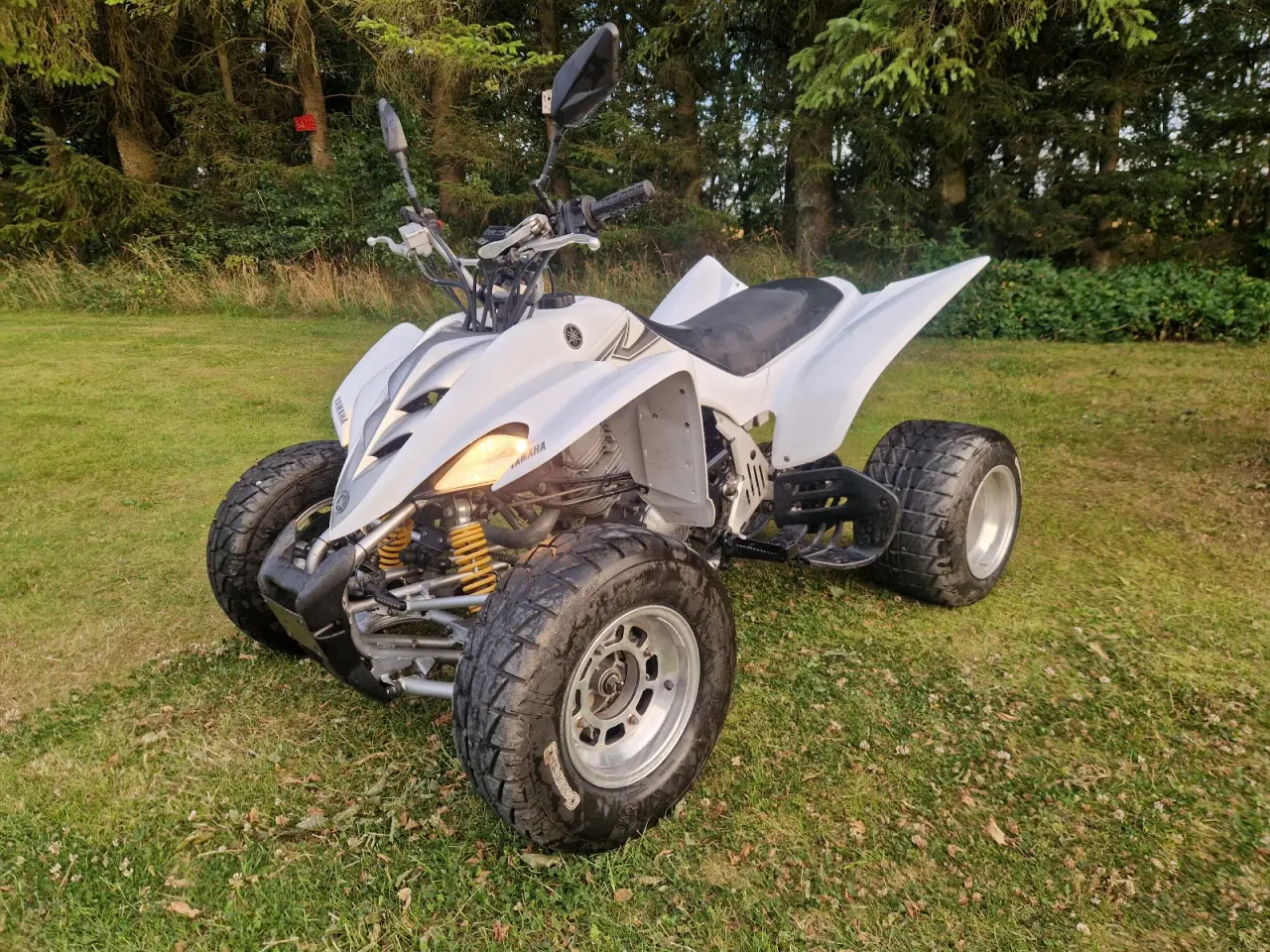 Billede 2 - Yamaha raptor 