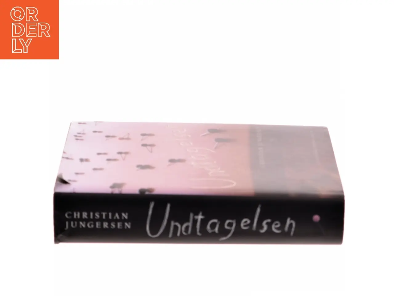 Billede 2 - Undtagelsen : roman af Christian Jungersen (Bog)