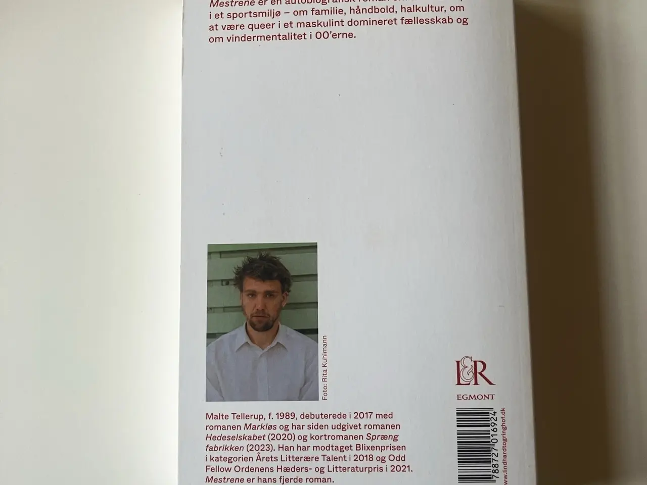 Billede 2 - Mestrene. Af Malte Tellerup