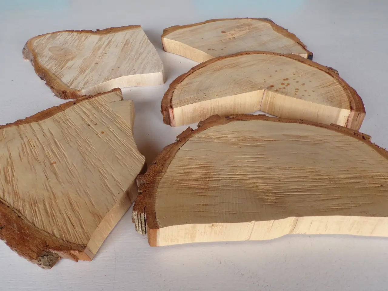 Billede 2 - 5 Thuja træskiver med bark i skæve faconer