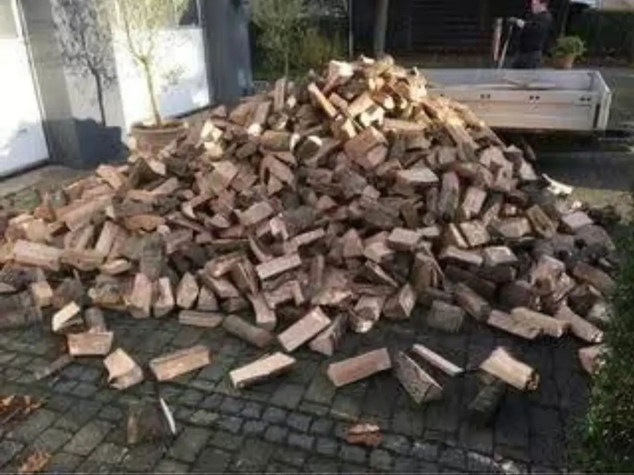 Billede 1 - Bøg og aske træ. Tørt