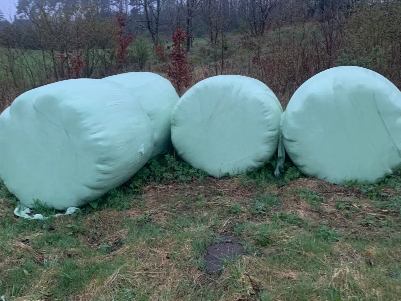 Billede 1 - Græs-hø wrapballer 3 i alt