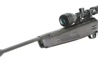 sig sauer asp20