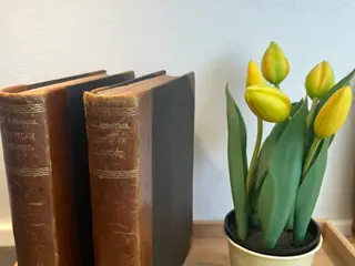 H.C. Andersen: Eventyr og Historier Kunst-Udgave, 