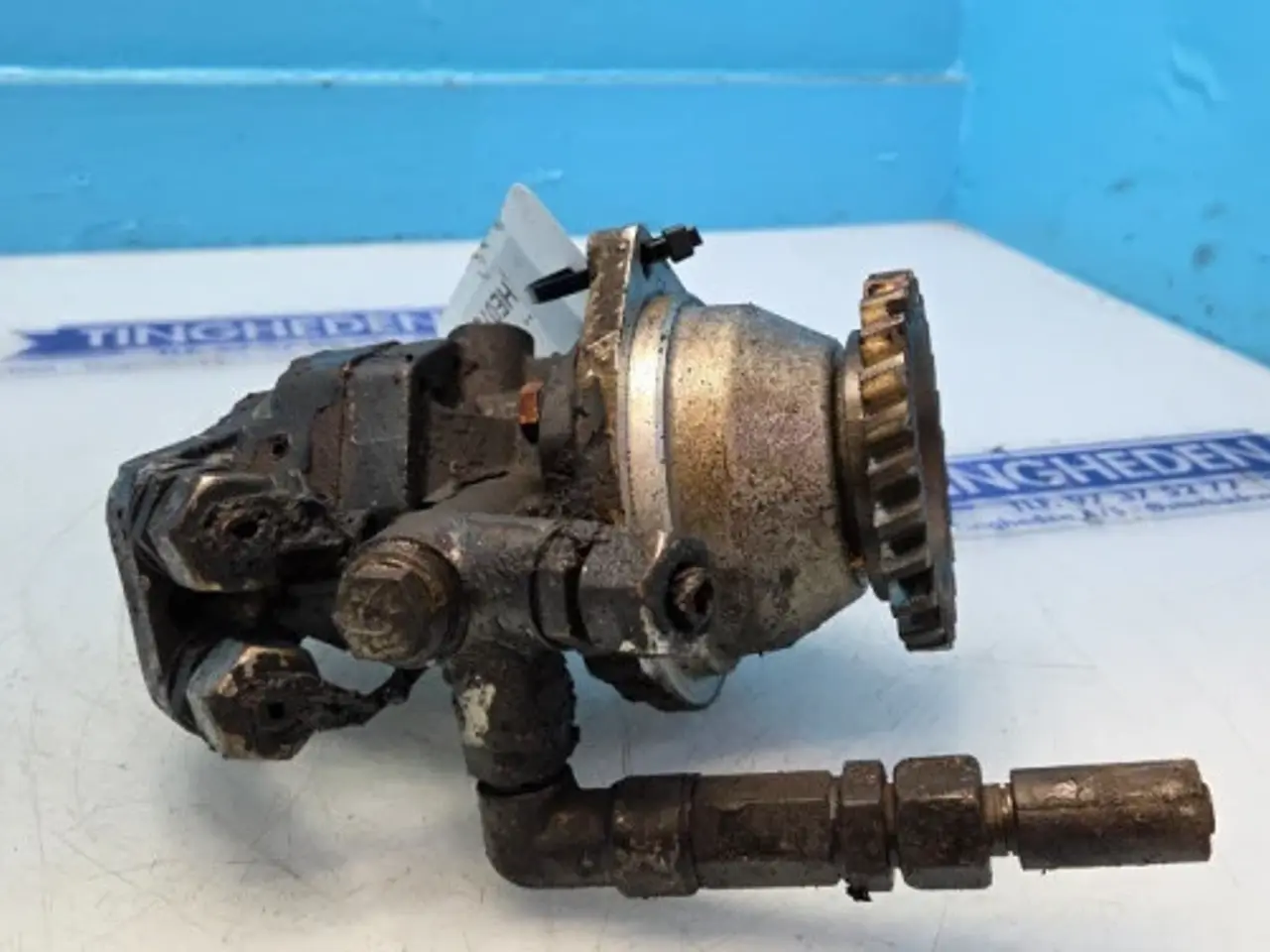 Billede 4 - Iveco Cursor 13 Brændstofpumpe 504040201