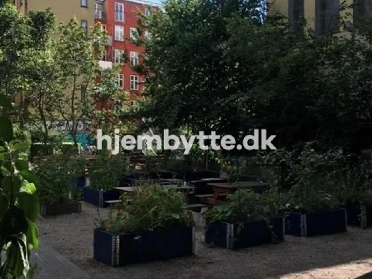 Billede 4 - Hjembytte - Todesgade