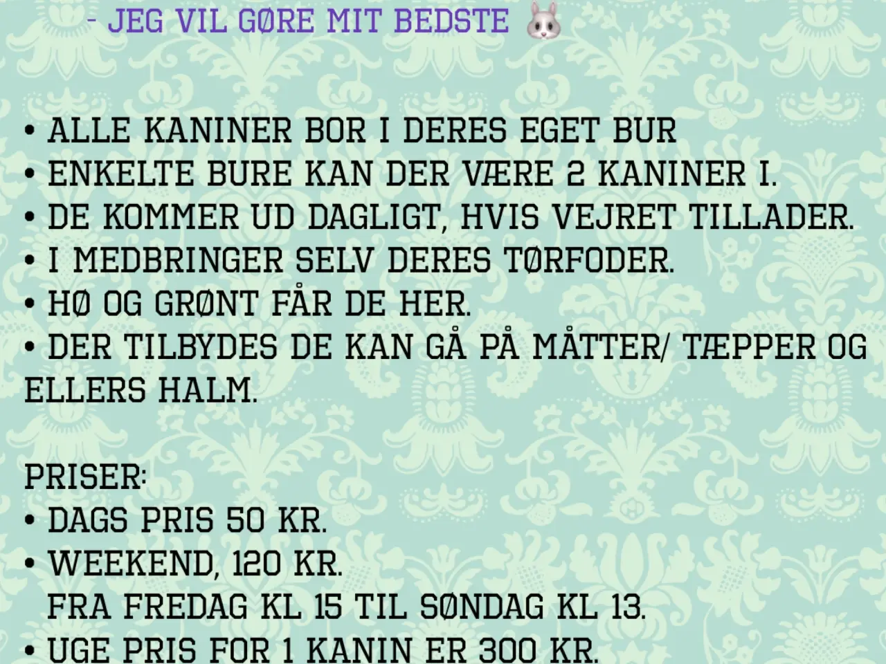 Billede 2 - Pasning af kaniner og marsvin tilbydes
