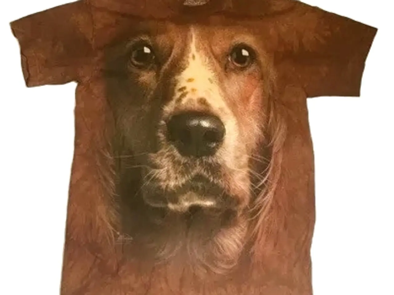 Billede 5 - The Mountain hunde T-shirts i flere str.