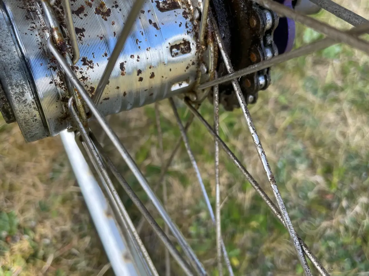 Billede 6 - Kildemoes damecykel
