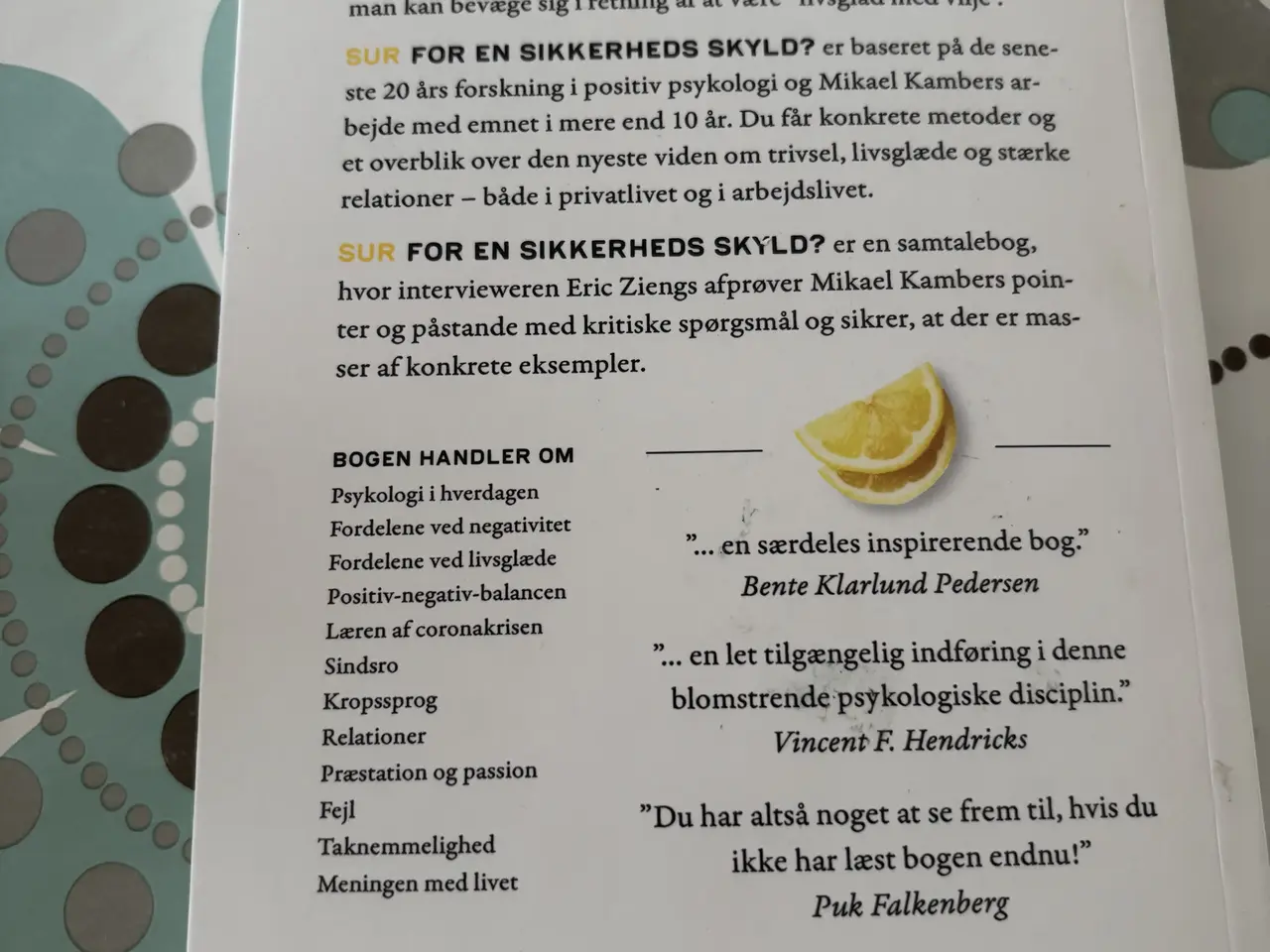 Billede 2 - Mikael Kamber – Sur for en sikkerheds skyld? bog