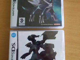 Pokemon æsker Nintendo DS 