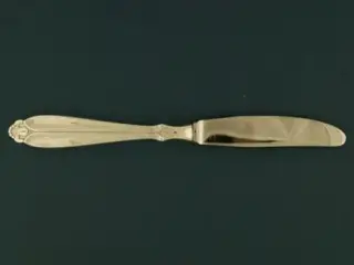 Rio Middagskniv, 22 cm.