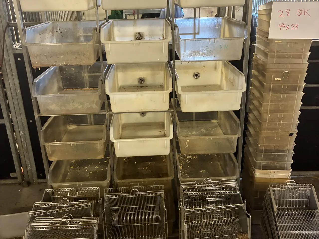 Billede 3 - Lab bure