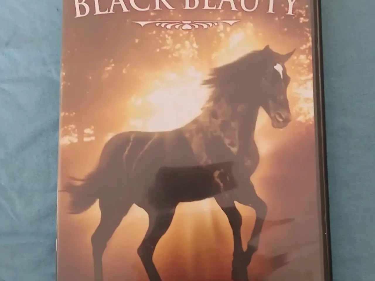 Billede 1 - Hesten Blackout Beauty