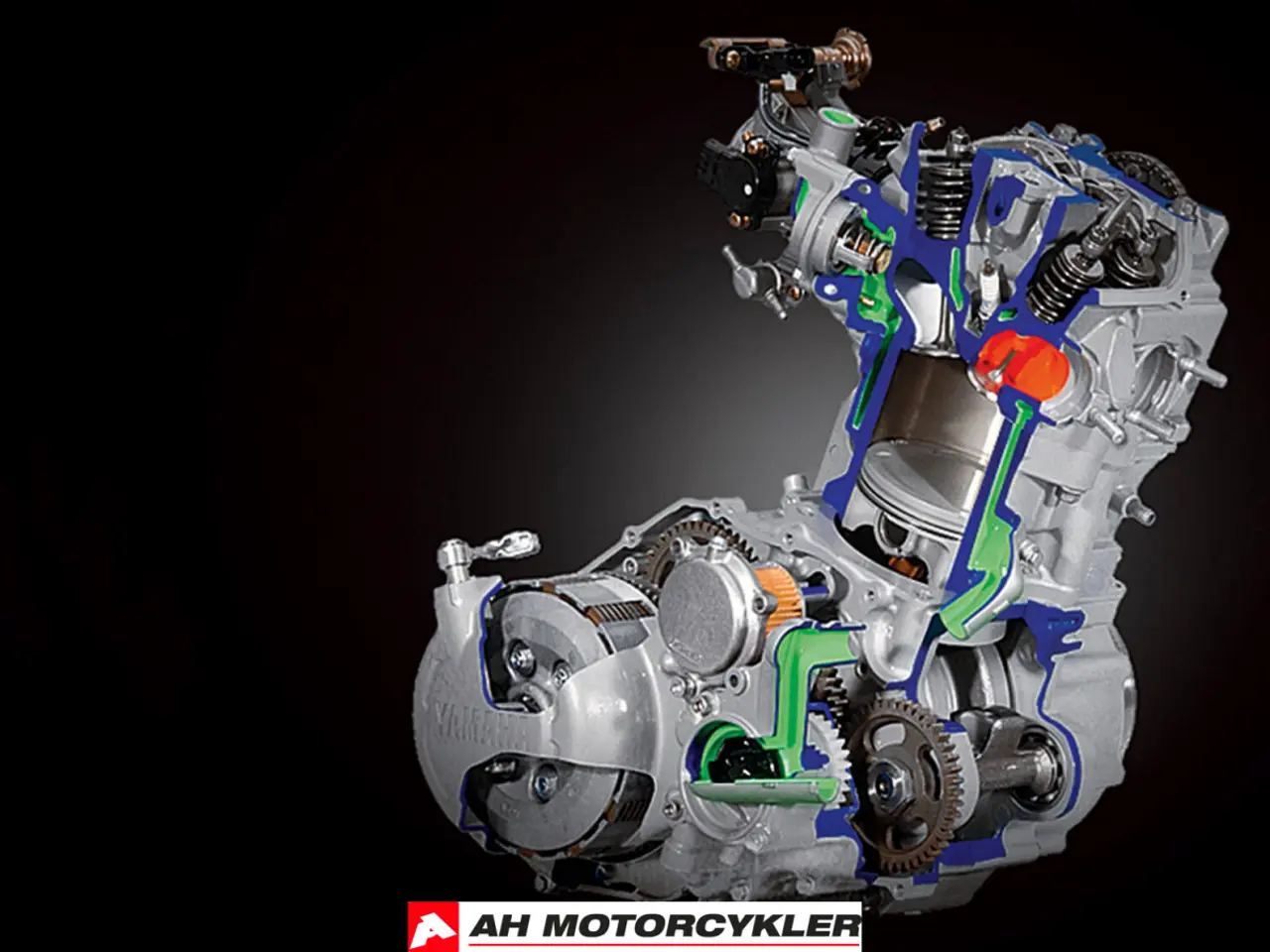 Billede 12 - Yamaha YFM 700 R 70th Anniversary Edition