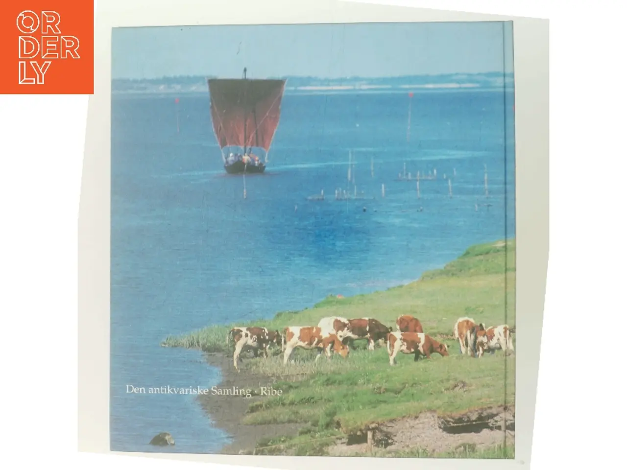 Billede 3 - Ribes Vikinger af <Udfyld bogens forfattere< (Bog)