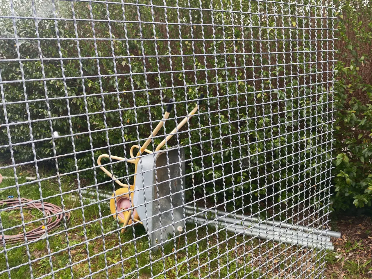 Billede 3 - Espalier, Galvaniseret trådnet til espalier/Hegn