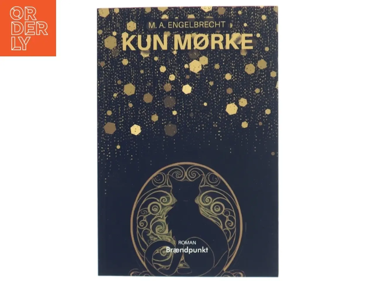 Billede 1 - Kun mørke : roman af M. A. Engelbrecht (f. 1993) (Bog)