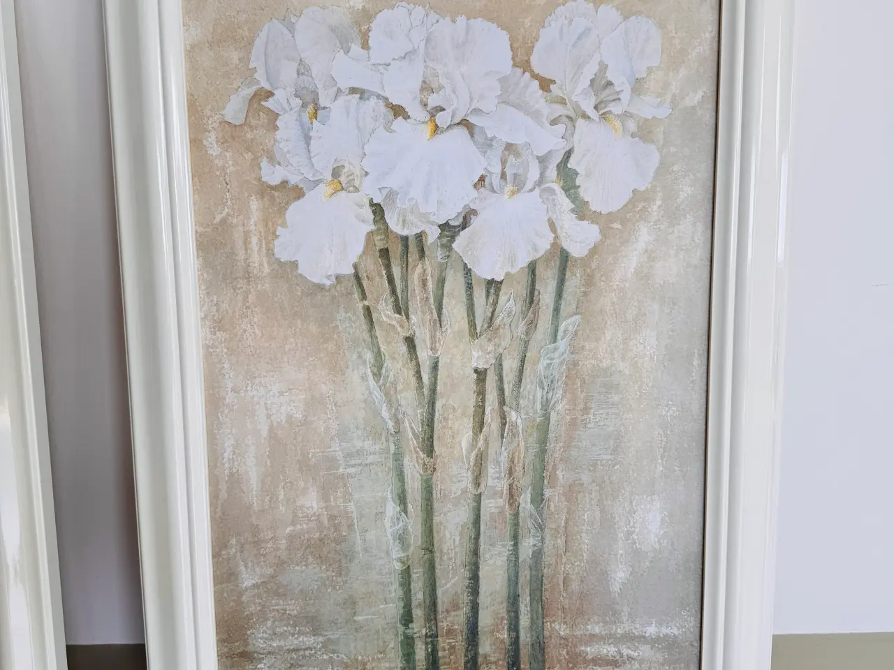 Billede 2 - Scott-tonge. Jean: whatercolour- white flower
