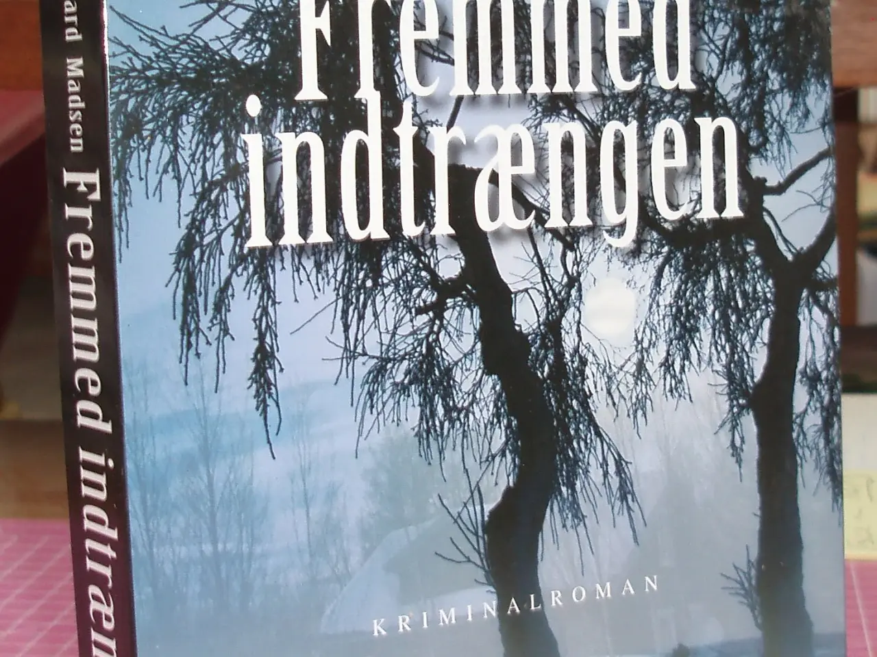Billede 1 - Fremmed indtrængen af Inger Gammelgaard Madsen